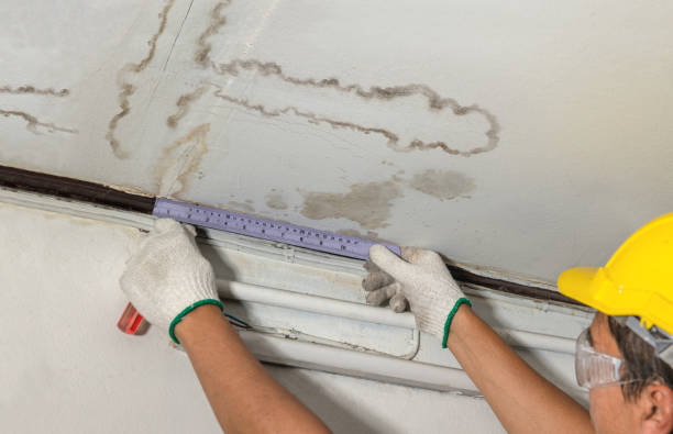 Reliable Water Damage contractor in Whitakers, NC by Water Damage Irwin